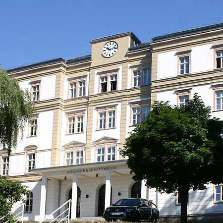 Apartment Tenx Mittweida Esterno foto